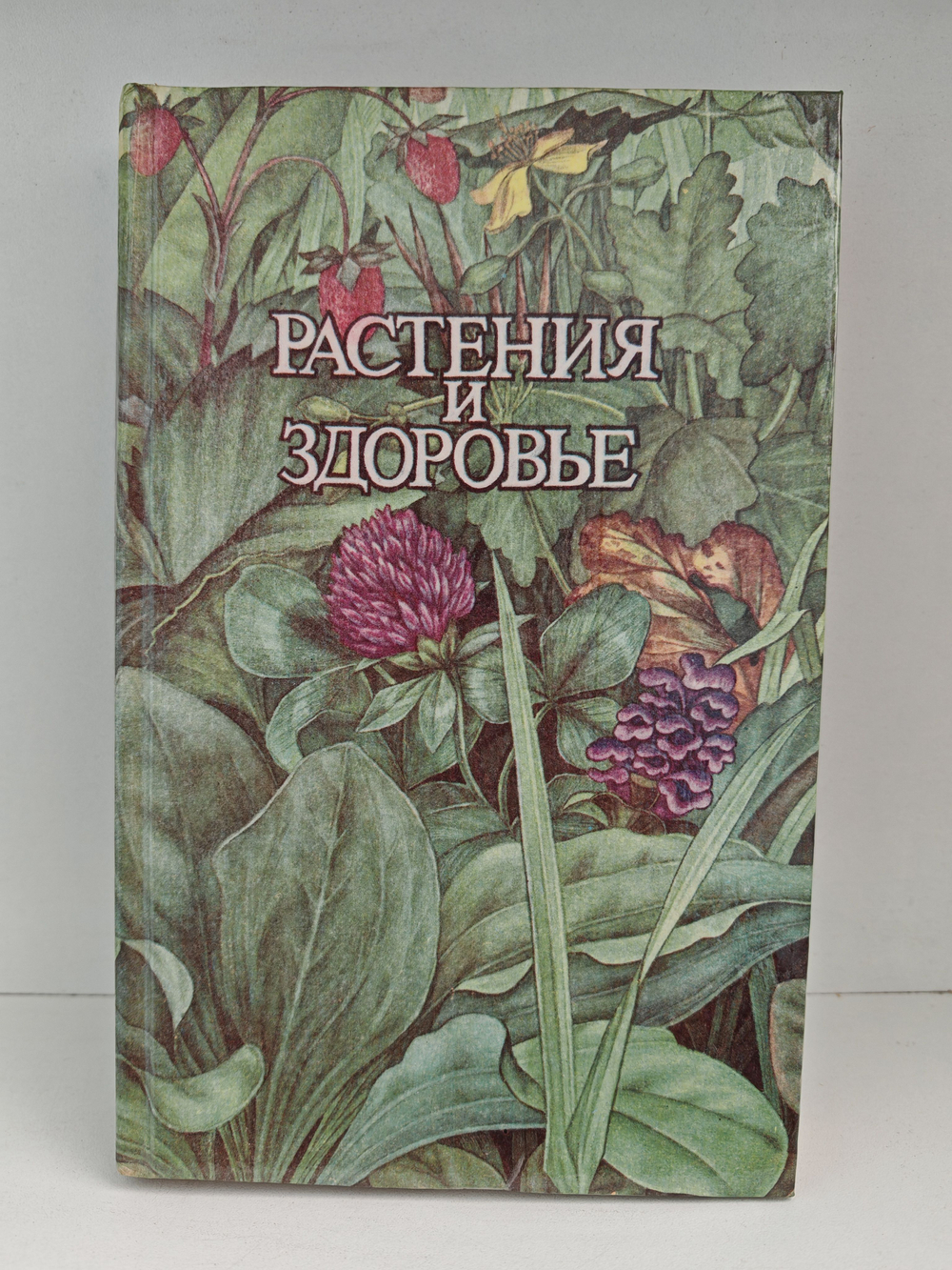 Растения и здоровье. 2000 рецептов и советов народной медицины