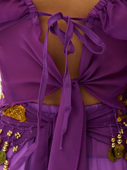 Костюм для восточных танцев Шахерезады 4 предмета Новый год