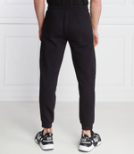 Спортивные штаны EA7 - черный(3DPP76 PJEQZ)