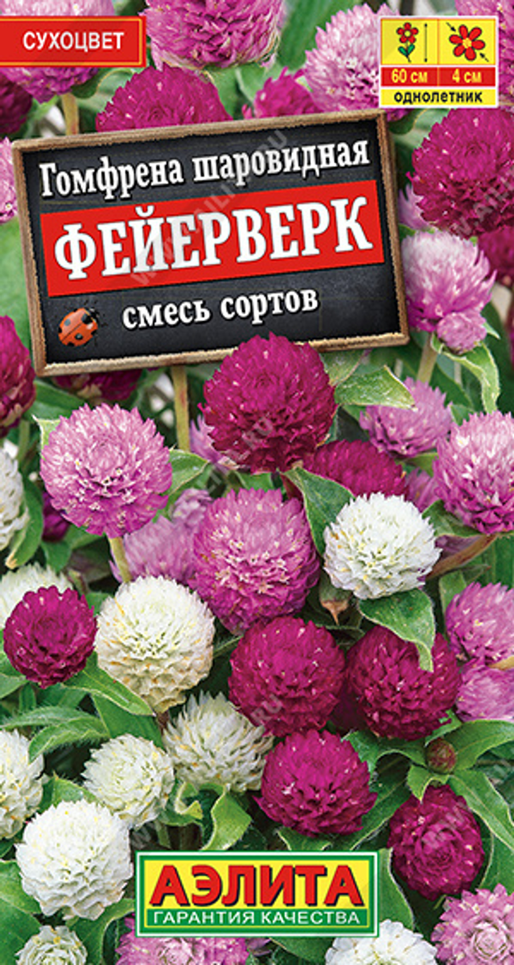 Гомфрена Фейерверк шаровидная, смесь сортов Аэлита