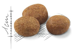 внешний вид корма