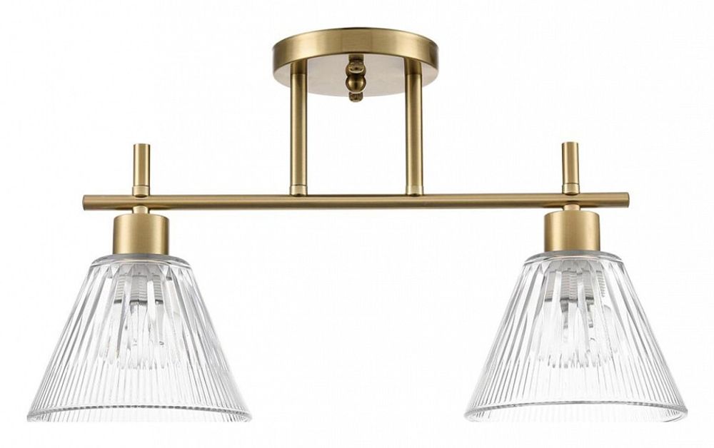 Светильник на штанге Lumion Vivian 8188/2C