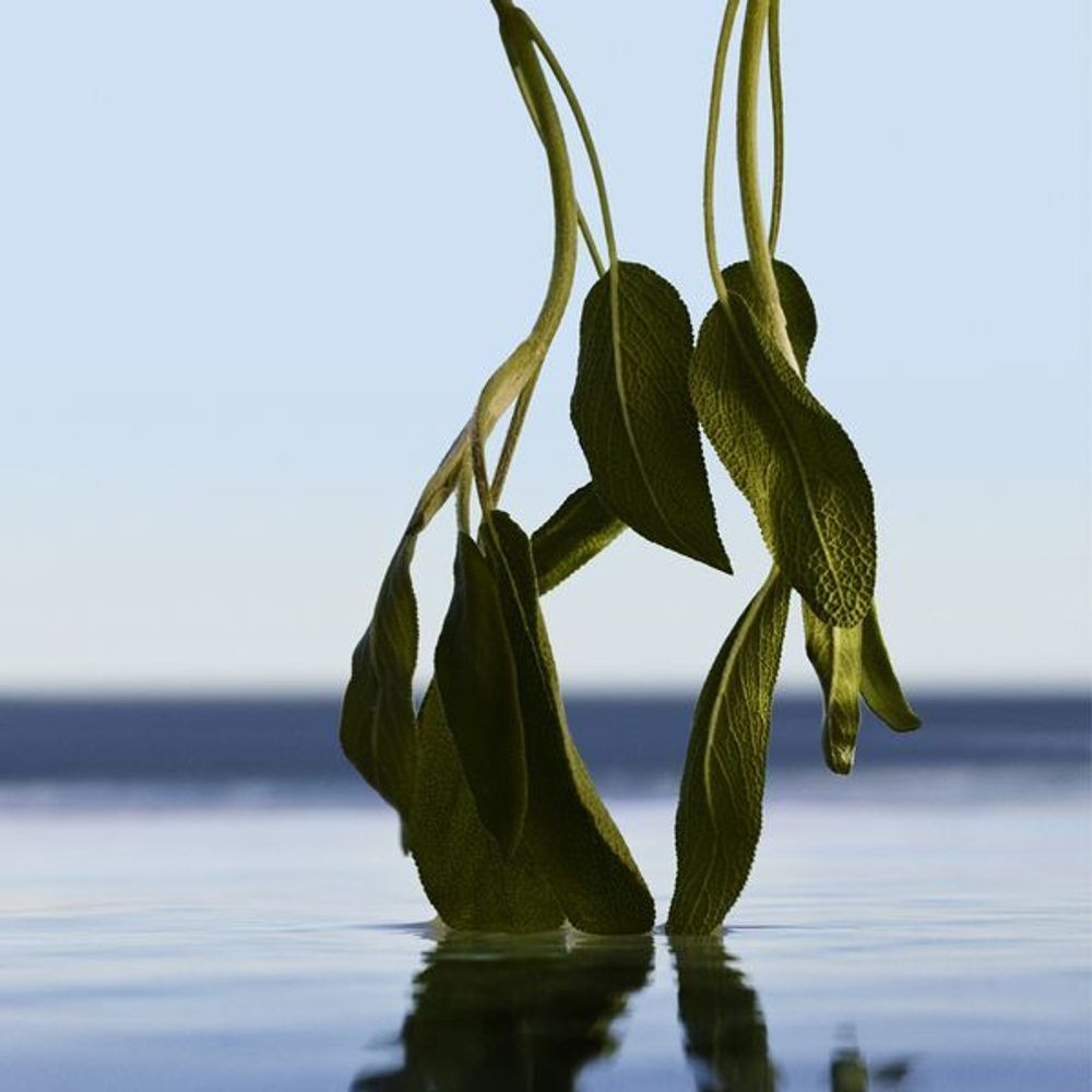 Hugo Boss Boss Bottled Infinite