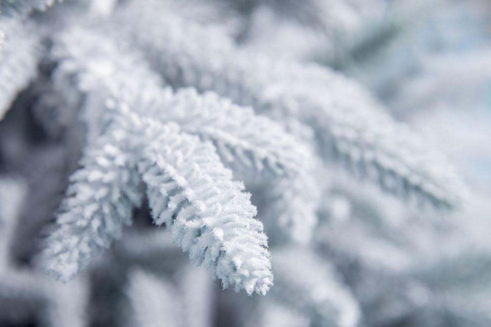 Заснеженная елка «Изумрудная» (Литая хвоя) 215 см / 2,15 м