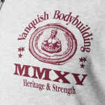 Толстовка VANQUISH Heritage Zip Hoodie Grey