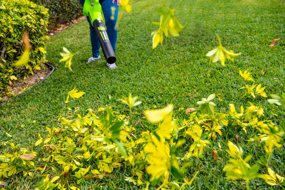 Воздуходув аккумуляторный Greenworks Арт. 2404807,  без АКБ и ЗУ