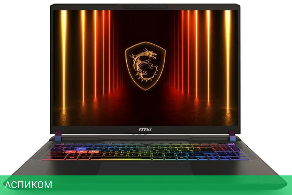 Ноутбук MSI Vector 16 HX AI A2XWHG-080XRU Cosmos Gray (9S7-15M352-080)