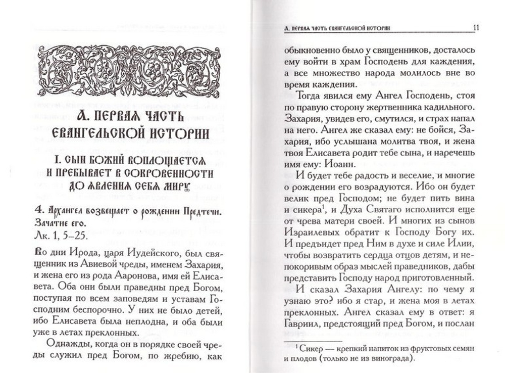 Евангельская история о Боге Сыне. Святитель Феофан Затворник