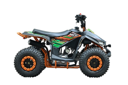 Квадроцикл WELS Tukah 110
