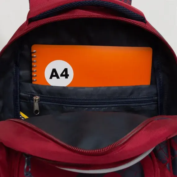 Çanta \ Bag \ RU-433-1 Рюкзак (/3 бордовый)
