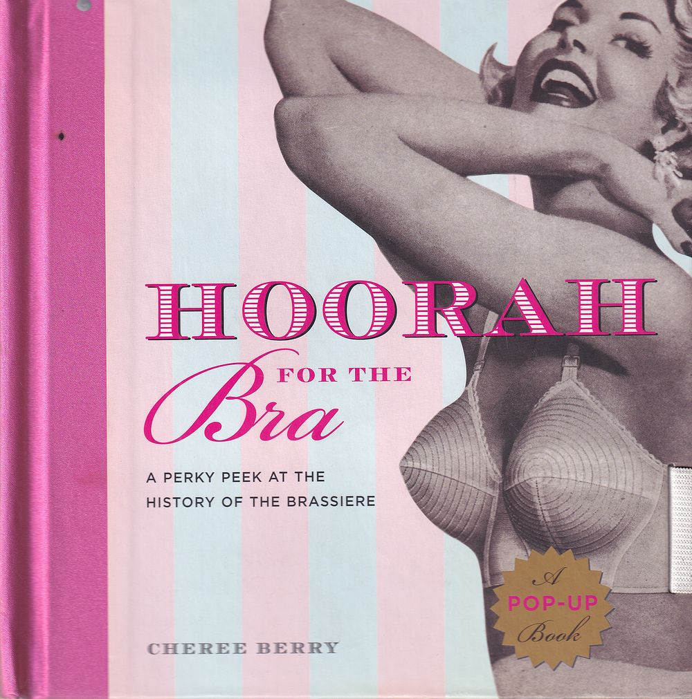Ура для бра: Дерзкий взгляд на историю бюстгальтера (Hoorah for the Bra)