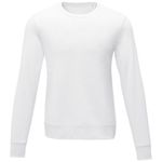 Zenon Мужской свитер с круглым вырезом