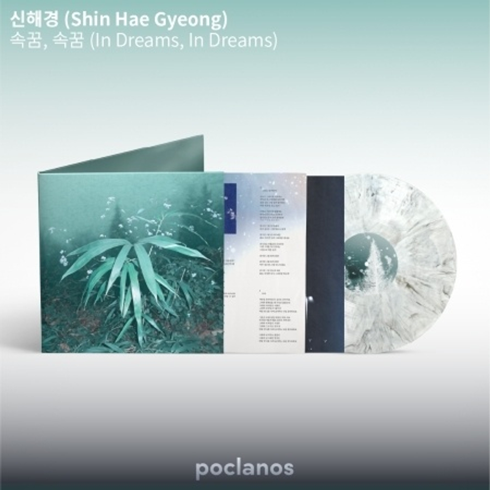 (ПРЕДЗАКАЗ) Альбом SHIN HAE GYEONG - IN DREAMS, IN DREAMS Album LP