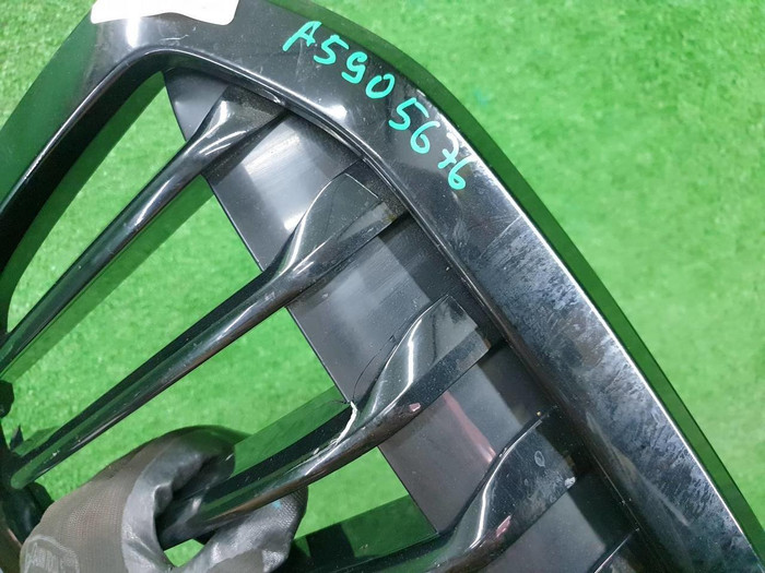 Решетка радиатора BMW X7 G07 (2019-2022)