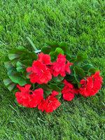 Герань красная куст с цветами 43 см