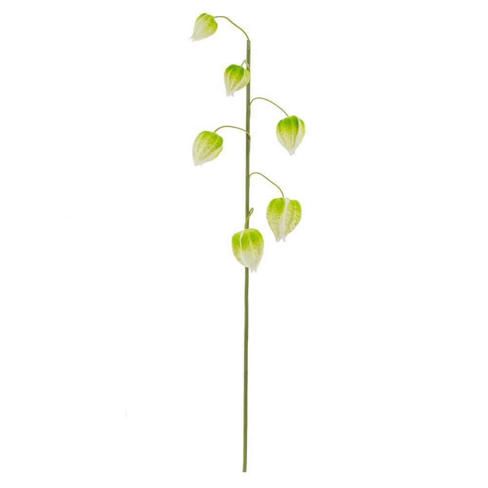 GAEM Цветок искусственный "Физалис" (Real Touch), L13 W10 H70 см