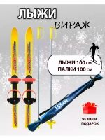 Лыжи детские с универсальным креплением 100см Вираж+чехол