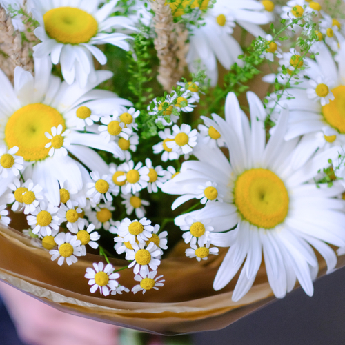 Купить Нежный букет с ромашками #524