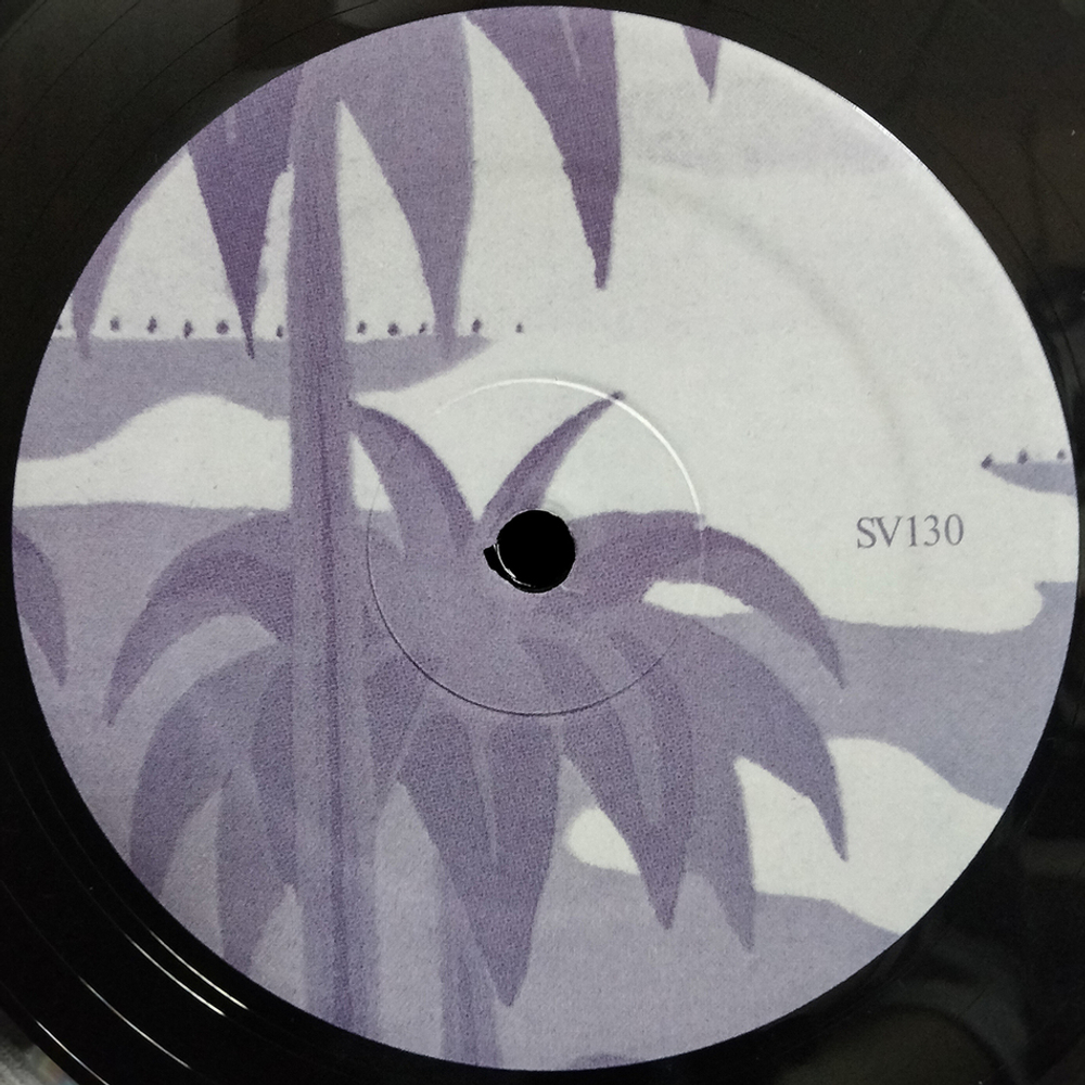 Raul Lovisoni, Francesco Messina / Prati Bagnati Del Monte Analogo (LP)