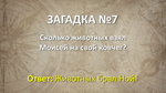 Серый поединок