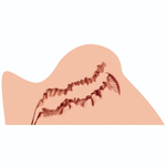 Мастурбатор-полуторс Naked Factory Trisha A-type (Цвет: телесный)