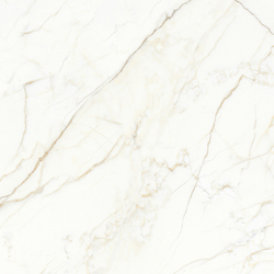 Europa Gold l Керамогранит белый 60x60 Матовый Карвинг