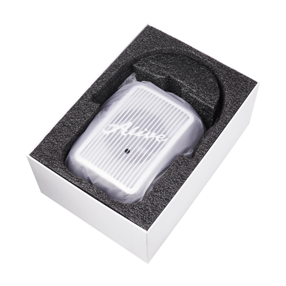 Беспроводная колонка Alive Audio Journey (Black)