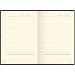 Ежедневник недатированный формата А6 160 листов Delucci (UD1_89601)