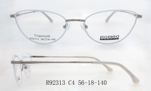 R92313