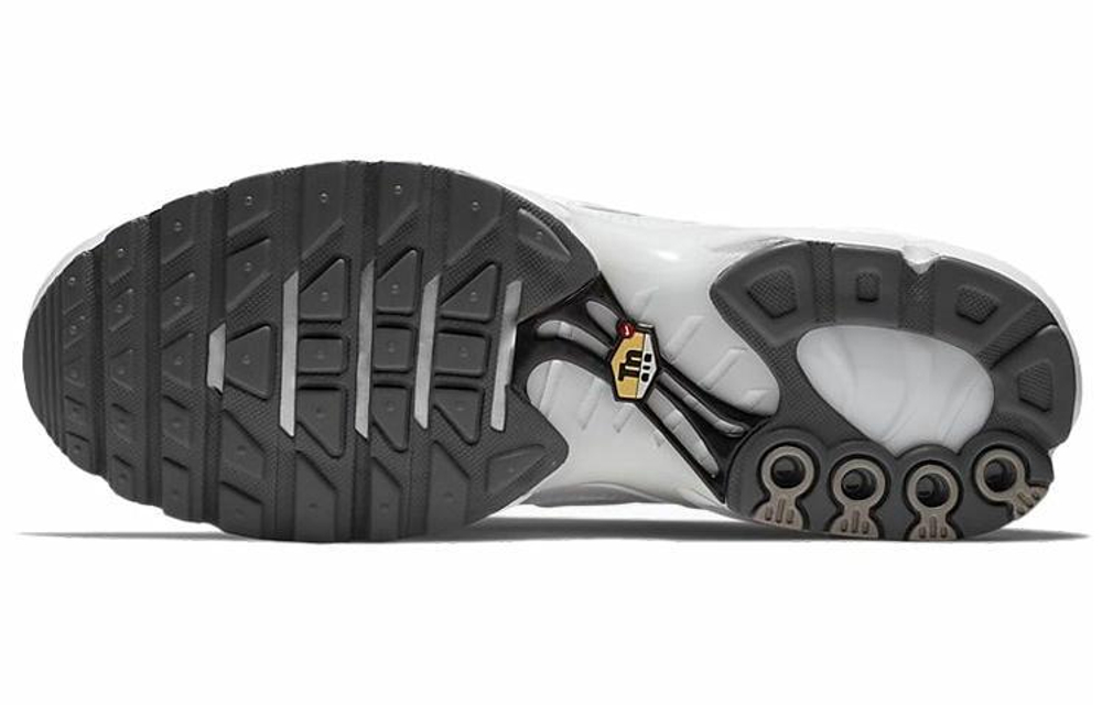 Кроссовки Nike Air Max Plus