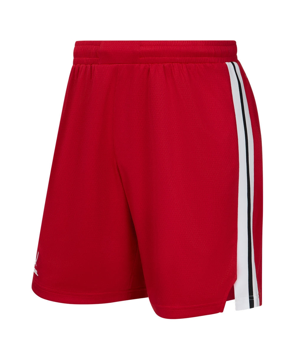Шорты баскетбольные JÖGEL DIVISION PerFormDRY Shorts R2, красный