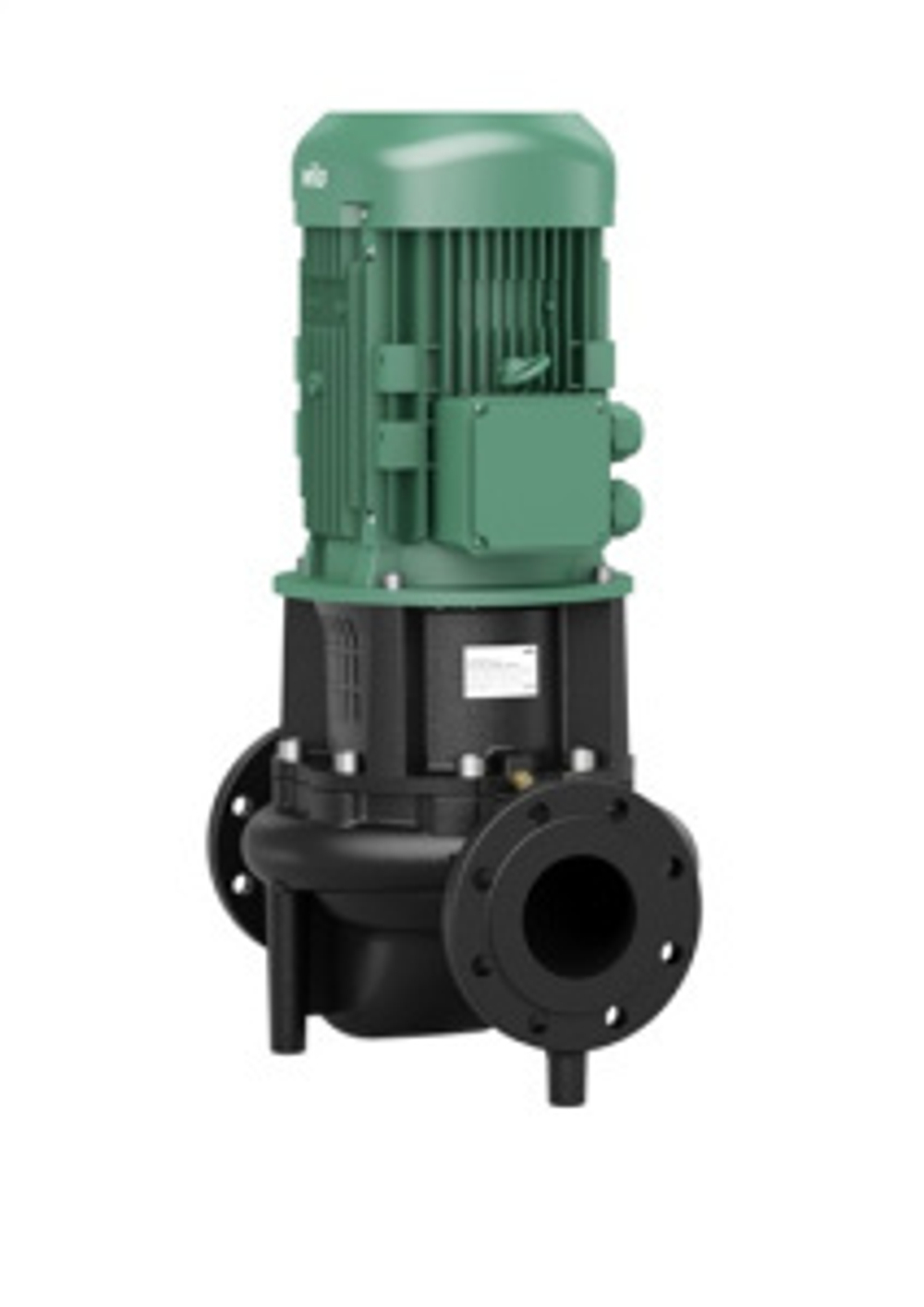 0zf8tacwirf2vw9jh00fd44f3a3sdl3p_1080632081.jpg