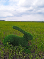 Заяц лежачий