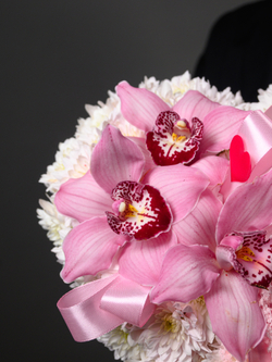 Нежное признание