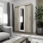 Шкаф купе Мираж 11