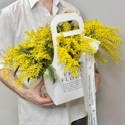 «Мимозье» композиция из мимозы