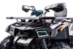 Квадроцикл MOTOLAND 200 Wild Track X Pro (2022)