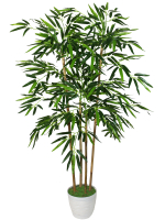 Искусственное дерево Бамбук темно-зеленый 110см в кашпо