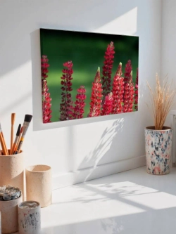 Картина на стену 40 X 50 Красные цветы