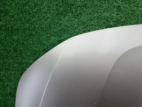 Капот Hongqi H9 (2020-н.в.)