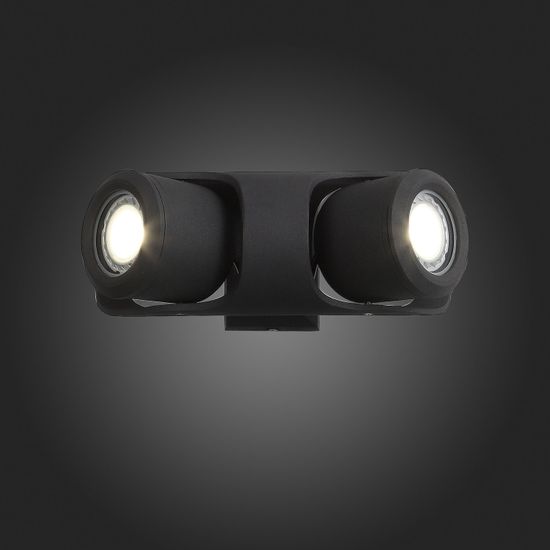 SL093.401.02 Светильник уличный настенный ST-Luce Черный/Черный, Прозрачный G5,3 2*3W ROUND