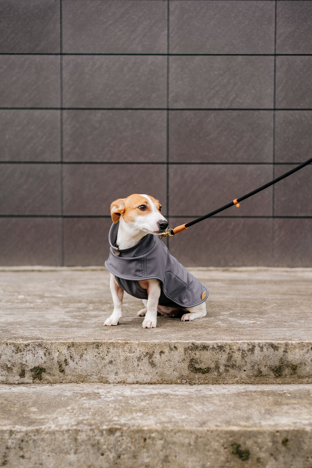 Попона "Пони-попони" темно-серая