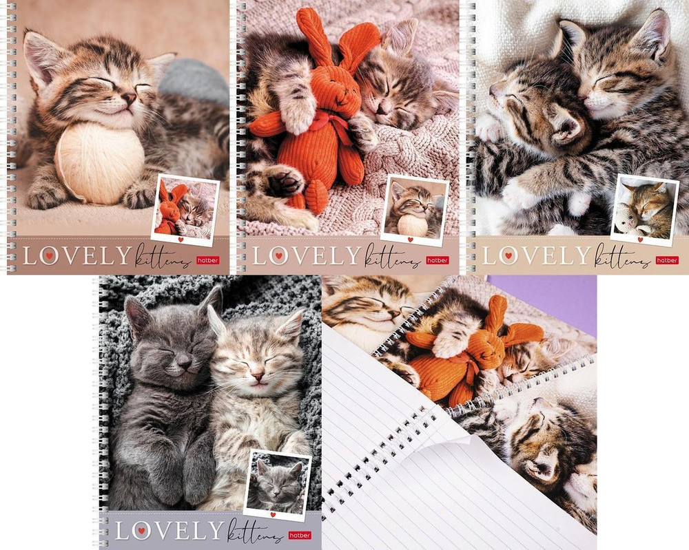 Тетрадь А5ф 48л линия на гребне, ассорти "Мяу-Котики" (Хатбер)