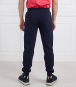 Спортивные штаны EA7 - темно-синий(3RPP70 PJEQZ)