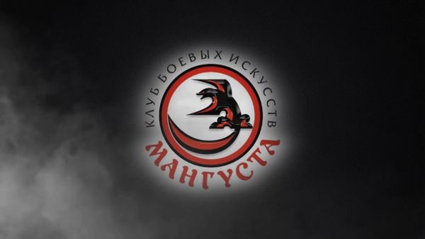 Всероссийские соревнования по тхэквондо ВТФ (керуги) «Мангуста» (ЕКП 2047540021028026)