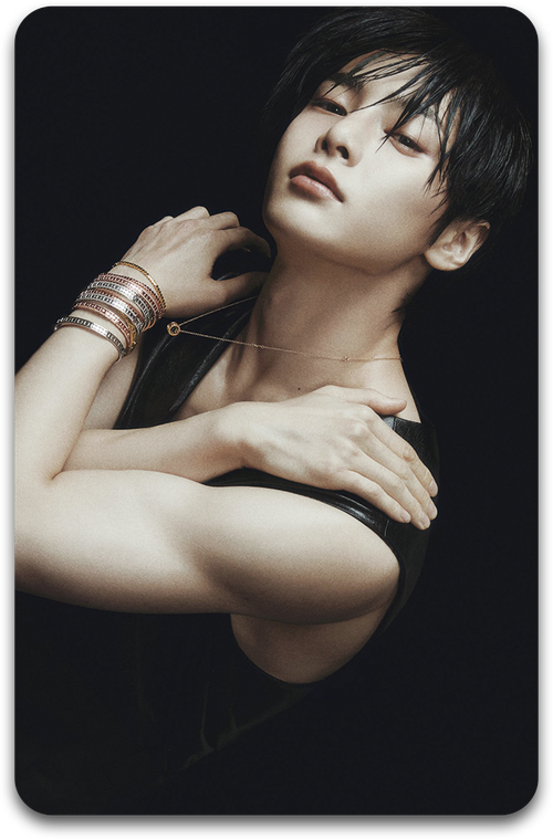 Карта / STRAY KIDS #2225