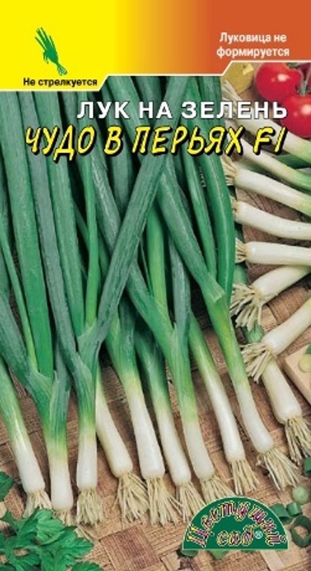 Лук на зелень Чудо в перьях 0,5г Ц ЦС