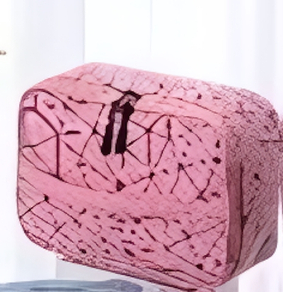 Косметичка-органайзер «Women secret», цвет розовый, 7*22*16см