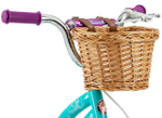 Детский велосипед Schwinn Elm 14 (2021)