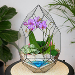 Готовый флорариум с пурпурной орхидеей Цефей с озером